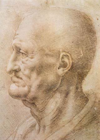 Leonardo+da+Vinci-1452-1519 (393).jpg